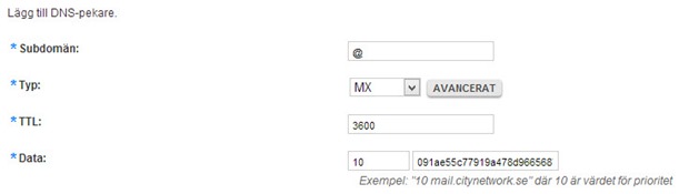 citynetwork-dns-doman-mx